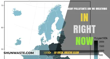 Air Quality Alert: Breathing Pollutants Right Now
