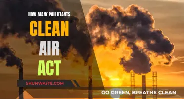 The Clean Air Act: Reducing Pollutants, Saving Lives