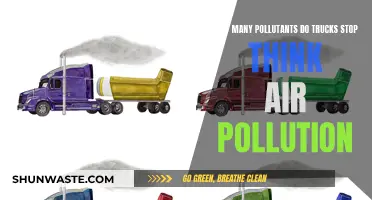 Trucks' Air Pollution: How Many Pollutants Are We Inhaling?