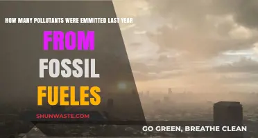 The Pollutants from Fossil Fuels: A Yearly Recap