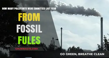 Fossil Fuels: Pollutants and Lasting Impact