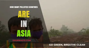 Polluted Countries in Asia: A Troubling Reality