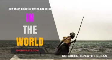 Rivers in Crisis: Global Pollution Threat