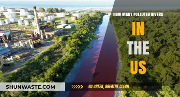 US Polluted Rivers: A Troubling Count