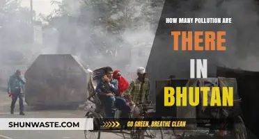 Bhutan's Pollution Sources: A Comprehensive Overview