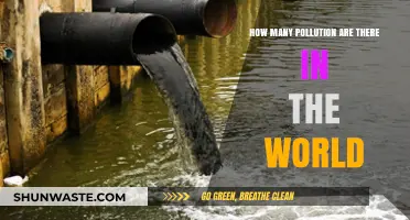 The Many Faces of Pollution: A Global Crisis