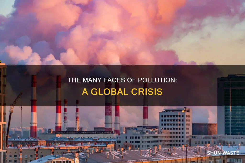 how many pollution are there in the world