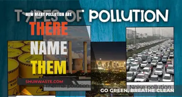Pollution Types: Understanding the Many Ways We Pollute