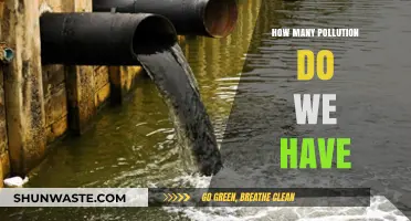 Pollution Types: Understanding the Many Ways We Pollute
