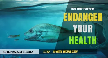 Pollution Types: A Guide to Health Hazards