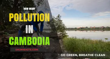 Cambodia's Pollution Crisis: A Multi-Faceted Problem