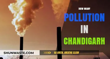 Chandigarh's Pollution Problem: A Comprehensive Overview