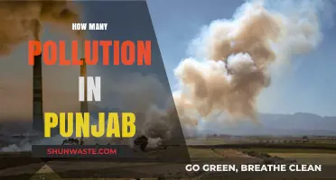 Punjab's Pollution Crisis: Counting the Threats