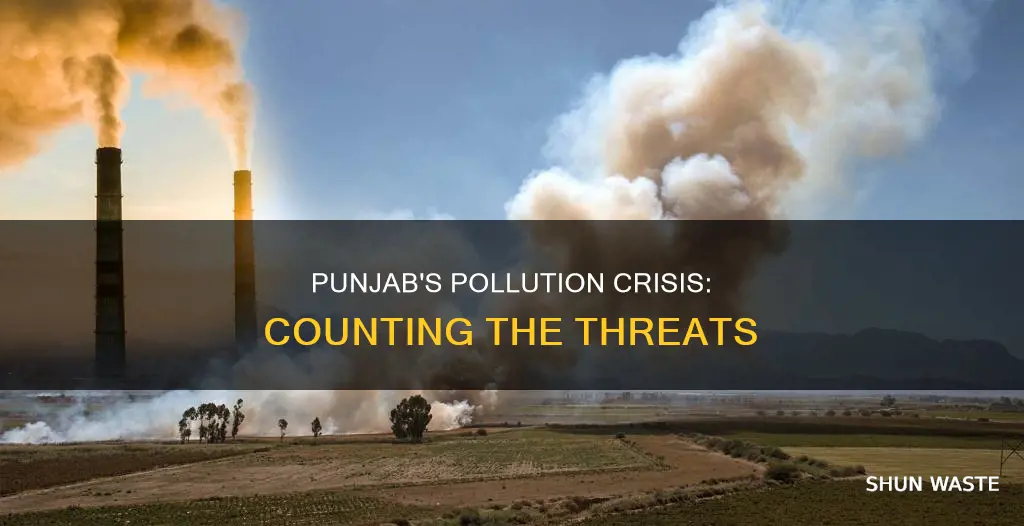 how many pollution in punjab