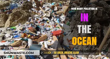 The Ocean's Pollution Crisis