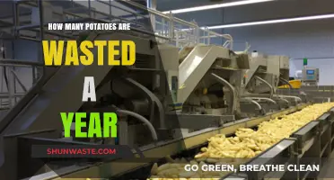 Annual Potato Waste: Shocking Amounts Lost Each Year
