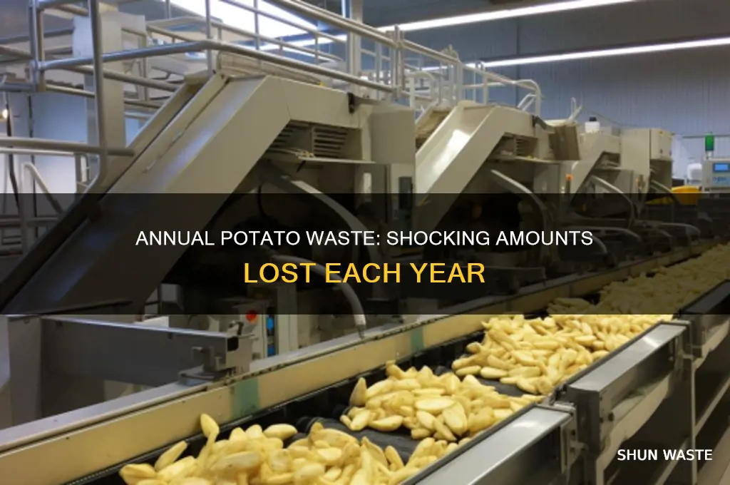 how many potatoes are wasted a year