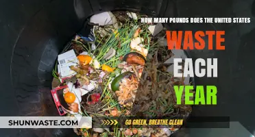 America's Annual Waste Crisis: Pounds, Impact, and Solutions Revealed