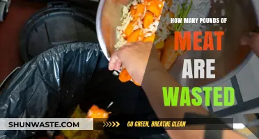 Reducing Food Waste: The Shocking Amount of Meat Discarded Annually