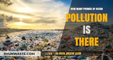 The Ocean's Pollution Crisis: How Many Pounds?