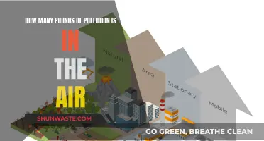 Air Pollution: Pounds of Poisonous Air