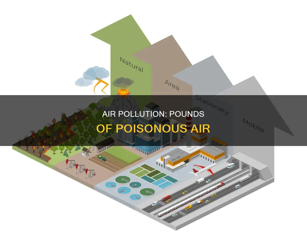 how many pounds of pollution is in the air