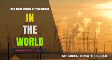 Pollution's Heavy Burden: Global Weights and Measures
