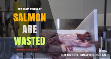 Reducing Salmon Waste: How Many Pounds Are Lost Annually?