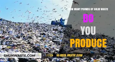 Understanding Your Environmental Impact: Solid Waste Production in Pounds