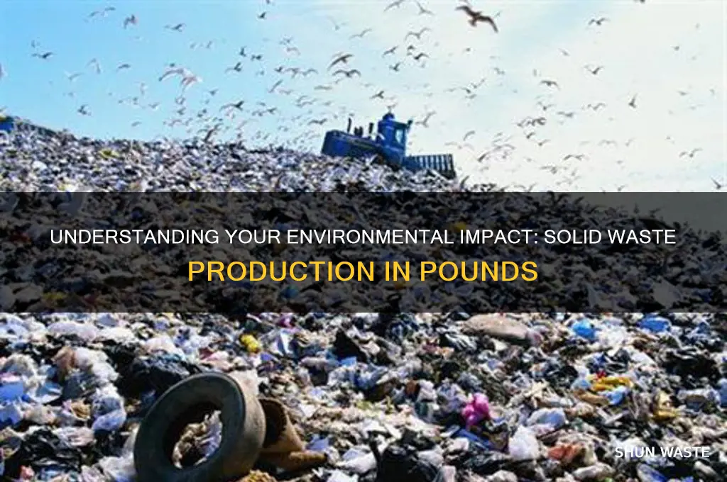 how many pounds of solid waste do you produce