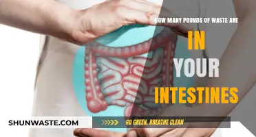 Unveiling the Shocking Truth: Intestinal Waste Accumulation Explained