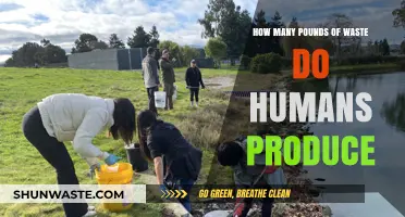 Human Waste Production: Uncovering the Shocking Pounds We Generate Daily