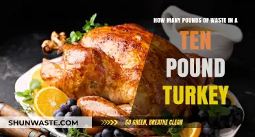 Turkey Waste Uncovered: Surprising Pounds Hidden in a 10-Pound Bird