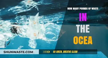 Ocean's Burden: Unveiling the Shocking Pounds of Waste Accumulated