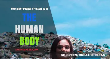 Unveiling the Shocking Amount of Waste Your Body Carries