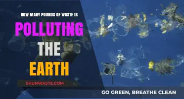 The Earth's Waste Crisis: Pounds of Pollution