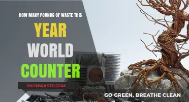 Global Waste Crisis: Tracking Pounds of Trash Generated This Year