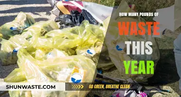 Tracking 2023's Waste: How Many Pounds Were Generated This Year?
