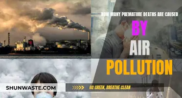 Air Pollution's Deadly Impact: The Shocking Statistics