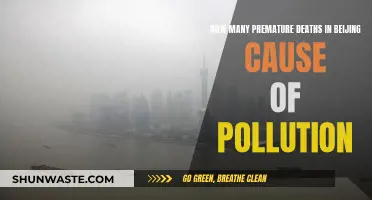 Beijing's Air Pollution: A Silent Killer's Toll