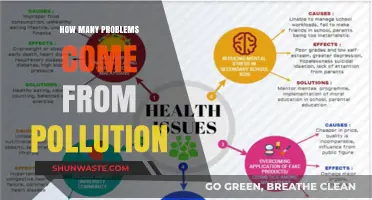 Pollution's Devastating Impact: Countless Problems, One Cause