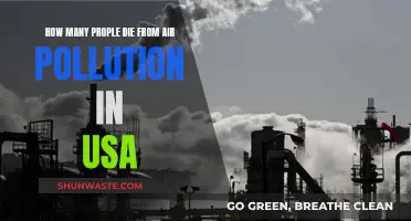 Air Pollution's Deadly Toll in the USA