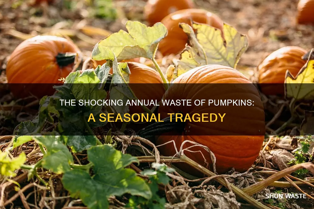 how many pumpkins are wasted each year