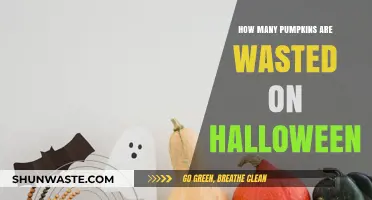 Halloween's Pumpkin Waste: A Shocking Look at Discarded Decorations