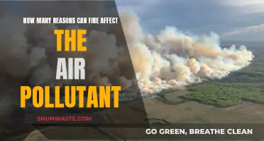 Fire's Impact: Air Pollutants and Their Complex Relationship