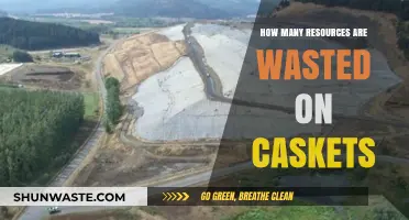 The Hidden Environmental Cost of Traditional Casket Burials