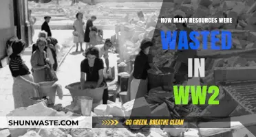 The Devastating Cost of WWII: Wasted Resources and Global Impact