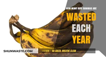 Ripe Bananas Wasted Annually: Shocking Global Food Waste Statistics Revealed