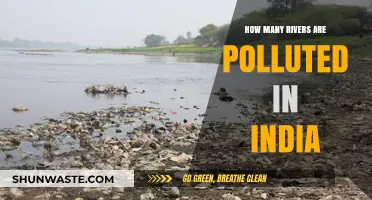 India's Polluted Rivers: A Troubling Reality