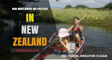 Polluted Rivers: New Zealand's Troubling Waterways Crisis